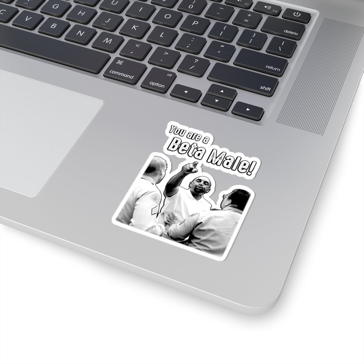 "You are a BETA MALE!" | Kiss-Cut Sticker